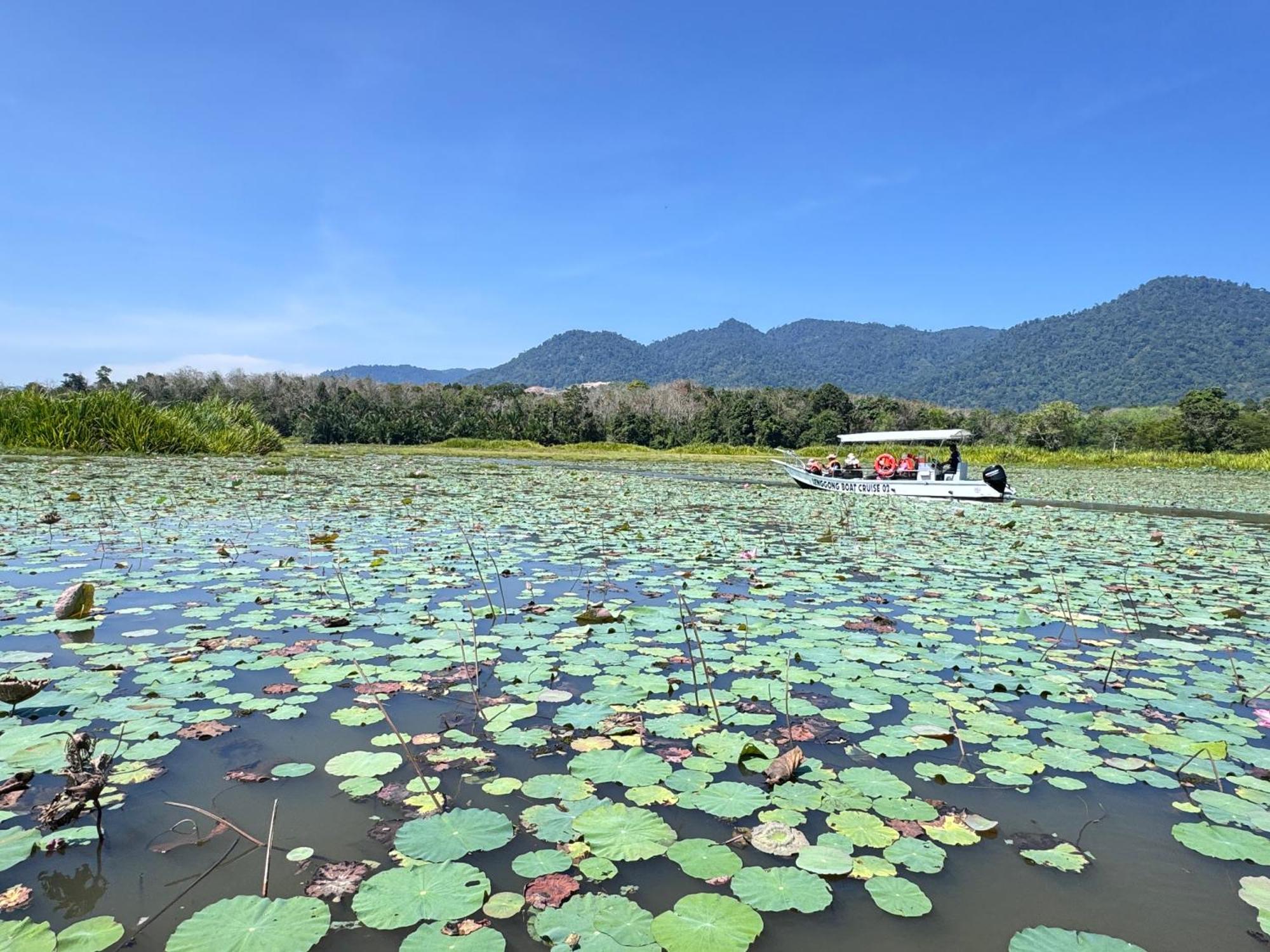 Branda Kampung Sumpitan Lenggong Tiada Sungai Hotel Kampong Ulu Jepai Exterior photo